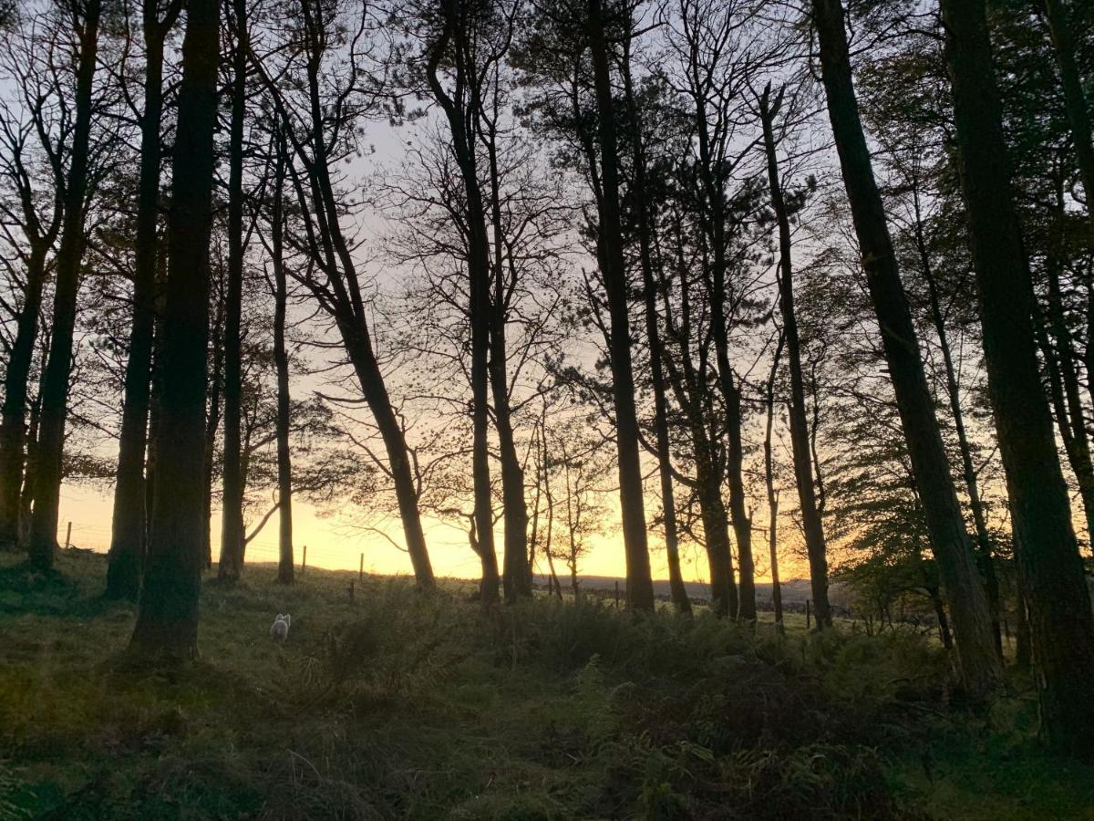Balbeg Cottage Straiton Bagian luar foto